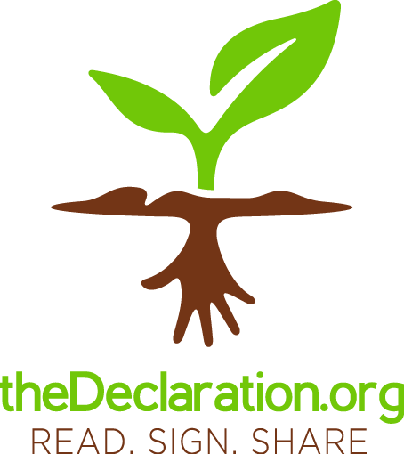 declaration logo
